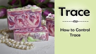 Slow Down Trace  Master The Art Of Soap Making 5 Expert Tips To Achieve Delicate Swirls With Ease [upl. by Acnairb]