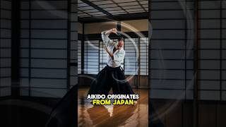 learn Aikido for real fighting Mindopening aikido secrets that will propel you forward [upl. by Haerb]