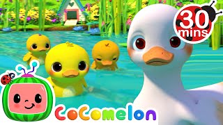 Five Little Duckies 30 MIN LOOP  Animal Songs For Kids [upl. by Youlton]