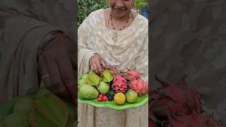 Fruits harvesting fruits harvesting mygarden gardening shortvideo ytshorts shorts [upl. by Gent]