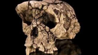 The Hominid Rap by LW Hasten [upl. by Tav]