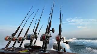 Bluewaters Viking 64 Demo Offshore Fishing [upl. by Naol]