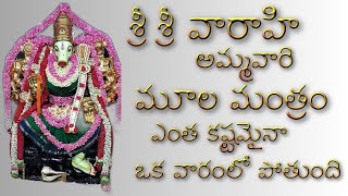 శ్రీశ్రీ వారాహి దేవి మూల మంత్రంvarahi mantram varahi mantra god sloka trending [upl. by Neibart]