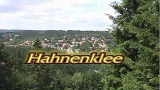 Hahnenklee Sommerrodelbahn [upl. by Accber]