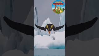 CARTOON penguin Cartoon cartoons tomandjerry cartoonnetworkpk cartoonseries mcn animation [upl. by Ely]