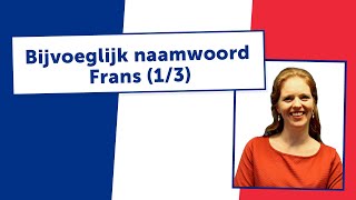 BIJVOEGLIJK NAAMWOORD FRANS  uitleg door docent 13 [upl. by Jordans]