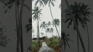 Kovalamshortfeed kerelatourism tourisminkerala [upl. by Nwahsed]