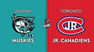 OJHL Highlights  Lindsay Muskies VS Toronto Jr Canadiens  September 8 2024 [upl. by Hesoj]