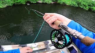 FLY FISHING for BIG AGGRESSIVE BASS  EPIC ACTION [upl. by Ashlin374]