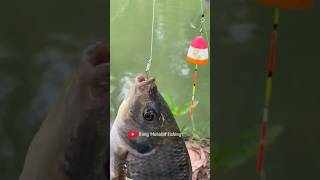 DIY Fishing Rig Upgrade Your Hooks for Bigger Catches 2024  Fishing Tutorial Shorts [upl. by Devora]