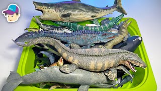 Sea Animals  Sharks Whales Dolphins Megalodon Mosasaurus Marine Reptiles Tylosaurus [upl. by Rossi]