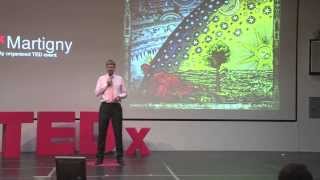 Next civilization Dirk Helbing at TEDxMartigny [upl. by Ycnaffit]