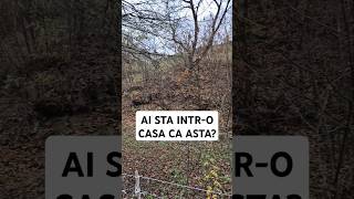 AI STA INTRO CASA CA ACEASTA imobiliareromania apuseni romania shorts [upl. by Assirok250]