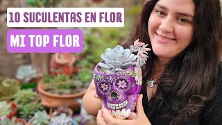 10 SUCULENTAS EN FLOR MITOPFLOR ¡GRACIAS Huertinga [upl. by Ettennek]