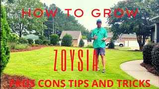 Zoysia  Pros Cons Tips and Tricks [upl. by Nannie]