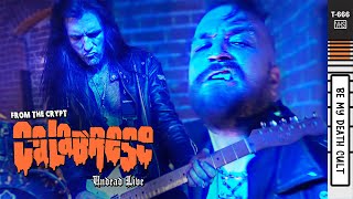 CALABRESE be my death cult UNDEAD LIVE [upl. by Urbana]