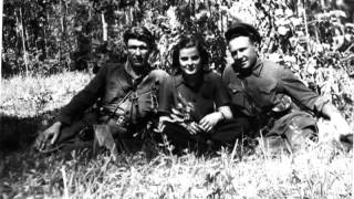 Soviet Partisans Song By Red Army choir [upl. by Nwahsear]