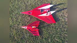 Einzpfeil 50 EDF Form board RC Plane [upl. by Buderus]