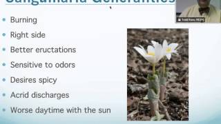 Sanguinaria Canadensis Homeopathic Medicine Tips For Beginners [upl. by Nohsreg]