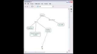 CmapTools How to Construct a Concept Map [upl. by Adym395]