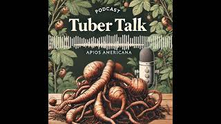 Tuber Talk A Peek At The Apios Americana [upl. by Elrebmik]