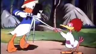 Donald Duck Cartoons Full Episodes Donald Duck Clown Of The Jungle NEW video [upl. by Pallaten]