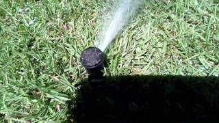 Rainbird 42sa sprinkler head [upl. by Navonoj]