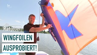 Wingfoilen  Wassersport am Kinzigsee  die Ratgeber [upl. by Norehc]