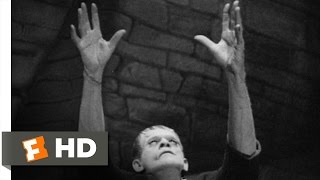 Frankenstein Movie Boris Karloff Classics [upl. by Novelia]