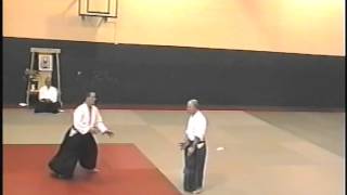 Best Aikido Demonstration [upl. by Florina]