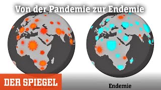 Von der Pandemie zur Endemie Wie kommen wir da jemals wieder raus  DER SPIEGEL [upl. by Amorita]