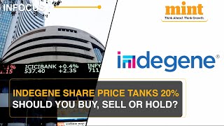 Why Indegene Stock Price Dropped After Listing Should You Sell Or Hold [upl. by Rednaxela]