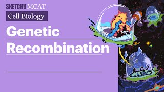 Genetic Recombination Transformation Conjugation Transduction Full Lesson  Sketchy MCAT [upl. by Nyleahs]