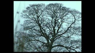 WUTHERING HEIGHTS  Official Theatrical Trailer US [upl. by Collier225]