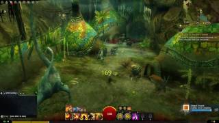 GW2  Point of Interest  Dengatl Grounds  Caledon Forest [upl. by Nnovahs]