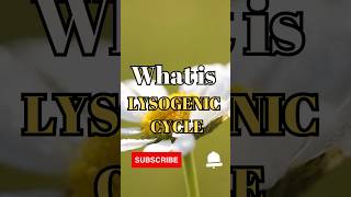 What is Lysogenic Cycle shorts facts biology [upl. by Allerim968]