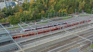 Der Treno Gottardo in ArthGoldau [upl. by Urban]