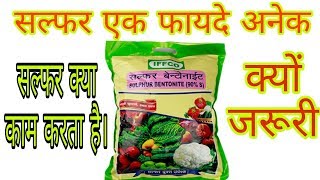 किसान भाई समझे सल्फर का महत्व  Sulphur क्यों है जरूरी तत्व हैं । किस काम मे आता है [upl. by Campball187]