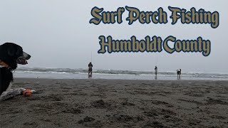 Surf Perch Fishing Humboldt County [upl. by Mairb335]