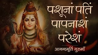 पशूनां पतिं पापनाशं परेशं  वेदसार शिवस्तव  Vedasara Shiva Stotram Shiva StutiAnandmurti Gurumaa [upl. by Ahsinam]