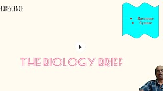 UNDERSTAND INFLORESCENCE IN JUST 10 MINUTES sureshb9256 biology morphologyoffloweringplants [upl. by Ennairod245]