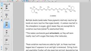 Pigments Intro Caretenoids amp Anthocyanins [upl. by Sig]