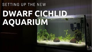 DWARF CICHLID PLANTED AQUARIUM SETUP Kribensis [upl. by Kostival312]