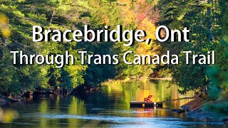 Bracebridge in Autumn Explore Amazing Waterfalls and Downtown Through Trans Canada Trail [upl. by Eustashe]