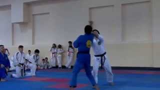 REAL AIKIDO  Demonstration 2014 NEW  Fariz Abdullayevs Team [upl. by Lecirg517]