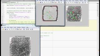 A Direct Fingerprint Minutiae Extraction Approach Based on Convolutional Neural Networks Original [upl. by Jody869]