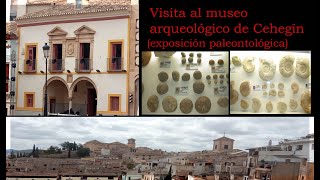 Visita al Museo Arqueológico de Cehegín [upl. by Atenek820]