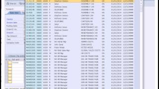 SAP Financial Accounting [upl. by Chor]