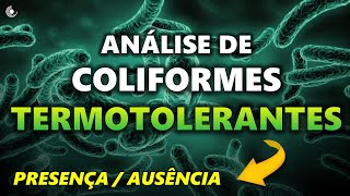 Como realizar análise de COLIFORMES TERMOTOLERANTES  Escherichia coli Método Presença  Ausência🦠 [upl. by Airlee961]