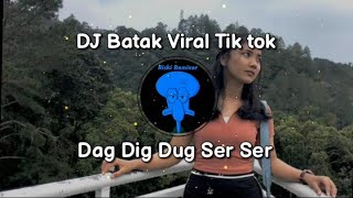 Dag Dig Dug Ser Ser  DJ Batak Viral Tik tok [upl. by Gerhard473]